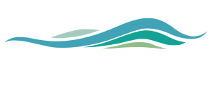 Clean Pristine WSM Logo
